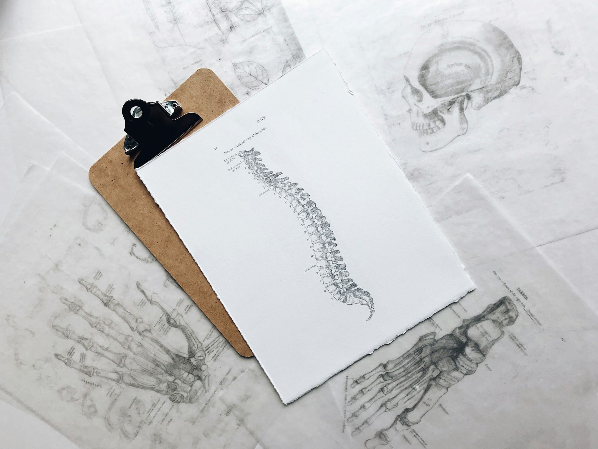背骨の図が描かれた資料とクリップボード